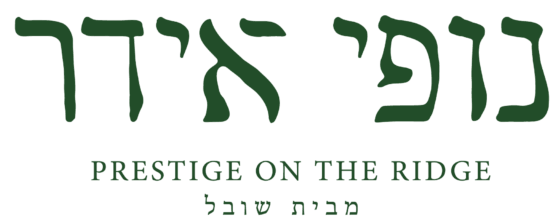 פרויקט נופי אידר 39 חיפה