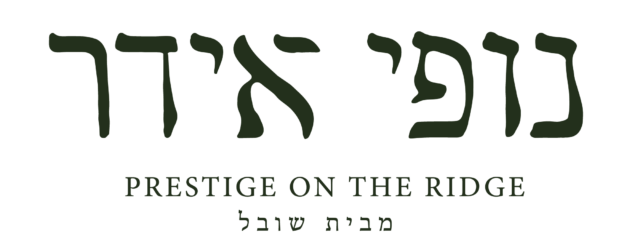 פרויקט אידר 39 חיפה מבית קבוצת שובל